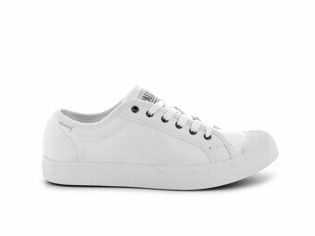 Palladium Pallaphoenix Og Canvas Damen Niedrige Sneaker Weiß ||469705-EOP||